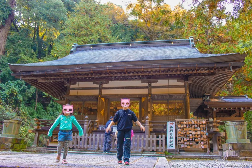 🏞️ 카구라오카 공원 (카구라오카 코엔) 이미지 8